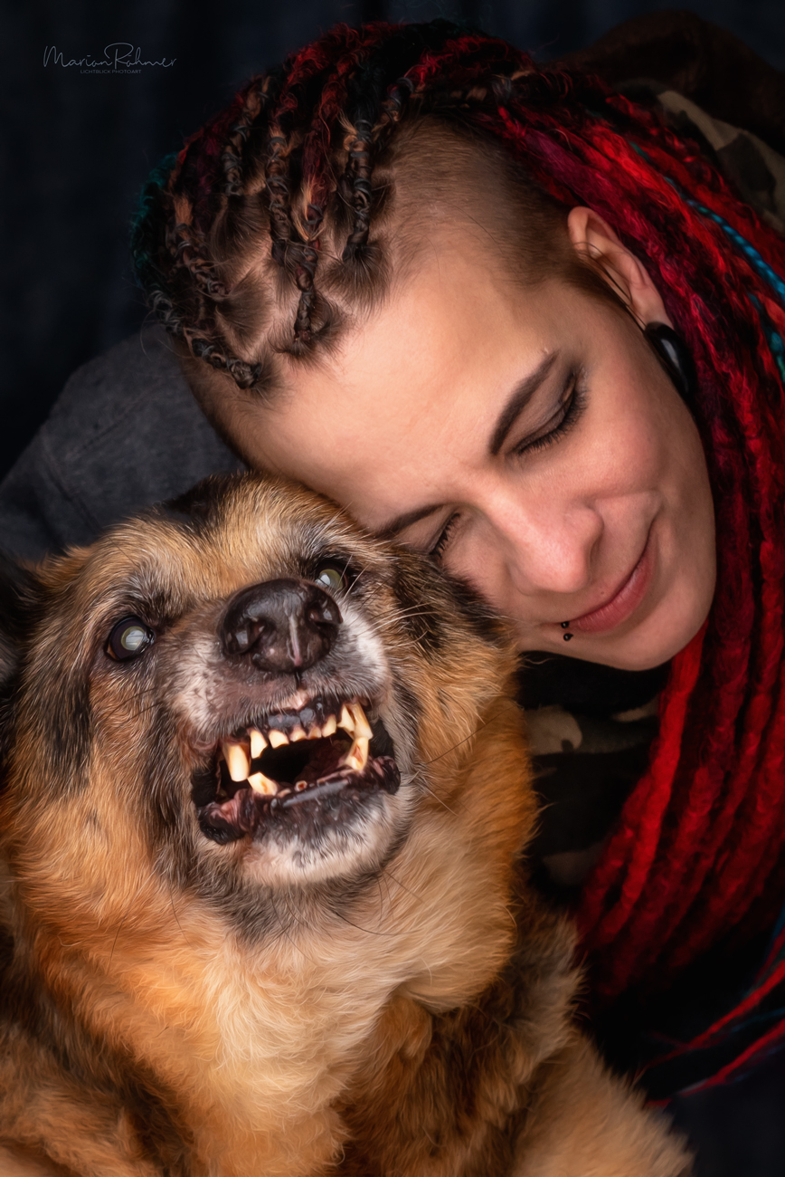 Schattenhund - Rasse deutscher Schäferhund, der die Zähne zeigt. Ein Mensch hat friedlich seinen Kopf an den Kopf des Hundes gelehnt.